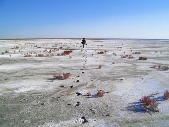 Озеро Эбейты. Мертвое море Омской области.